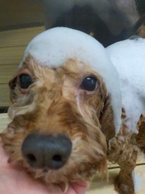 11-12%e3%81%99%e3%81%93%e3%81%a3%e3%81%a1-2