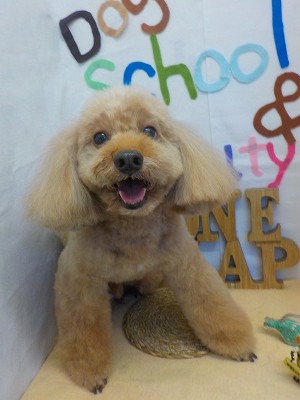 『サッパリしました！！』