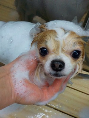 11-12%e3%81%9d%e3%81%86