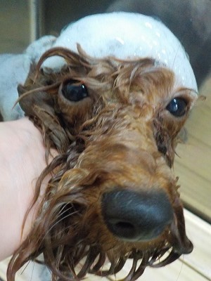 11-12%e3%81%9d%e3%81%b5%e3%81%83%e3%81%82-2