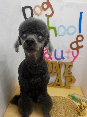 『スッキリしたよ♪』