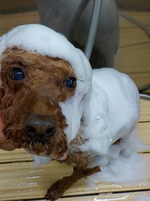 11-12%e3%81%be%e3%82%8d%e3%82%93-2