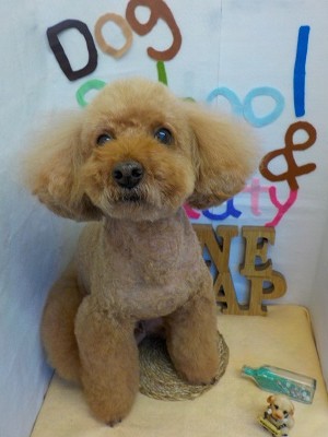 『無事やってもらえてよかったー♪』