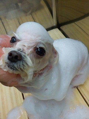 11-12%e3%82%82%e3%82%82-2