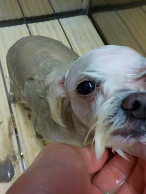 11-12%e3%82%82%e3%82%82-3