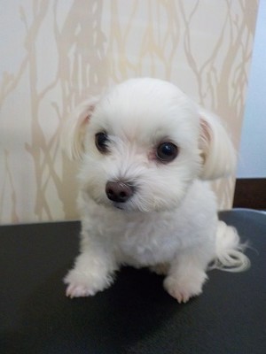 『今日もふわっふわかな？』