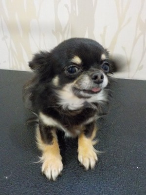 『しっかり洗ってね☆』