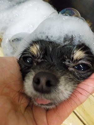 11-12%e3%82%86%e3%81%9a