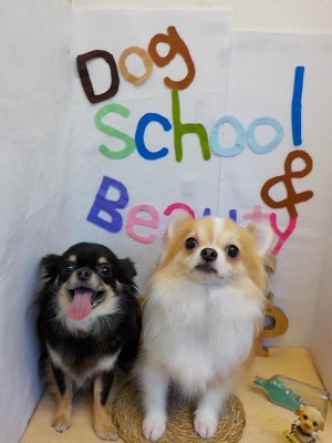 『綺麗になりました☆』