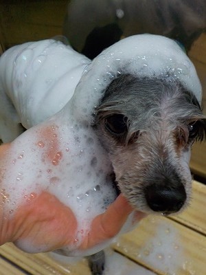 11-13%e3%81%82%e3%81%84%e3%81%99-2