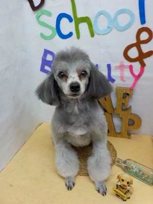 『サッパリしたー！！』