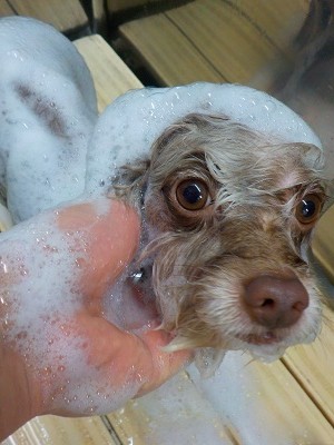 11-13%e3%82%80%e3%81%8e-2