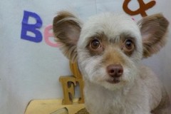 『ふわっと綺麗になりました♪』