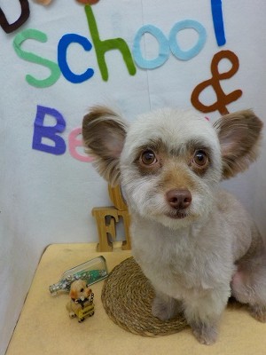 『ふわっと綺麗になりました♪』