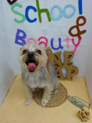 『スッキリしました☆』