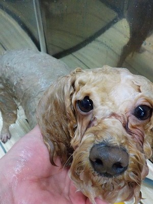 11-14%e3%81%ab%e3%81%93-3