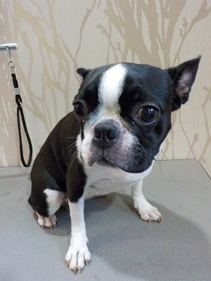 『しっかり洗ってください！』