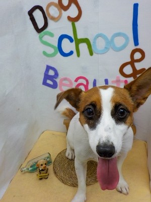 『綺麗になりましたー！！』