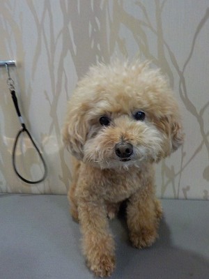 『まーるくお願いします！！』