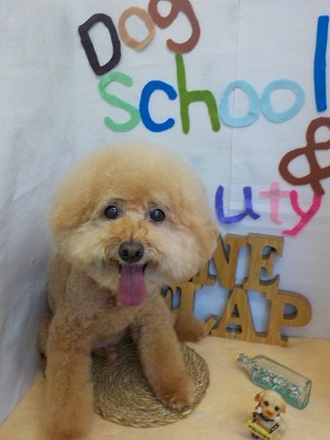 『ふわふわー♪』