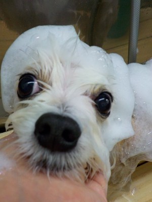 11-15%e3%81%93%e3%82%8d%e3%82%93-2