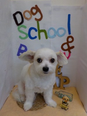 『これくらいが丁度良いかな☆』