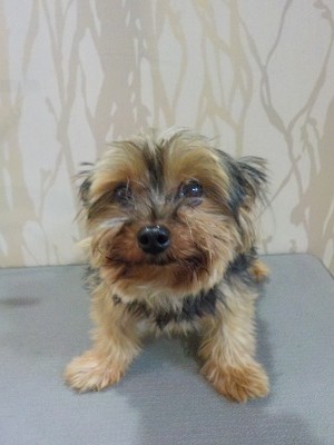 『結構伸びたでしょ？』