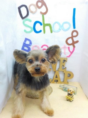 『あー、スッキリしたー！！』