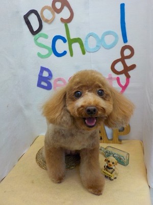 『綺麗にしてもらった♪』