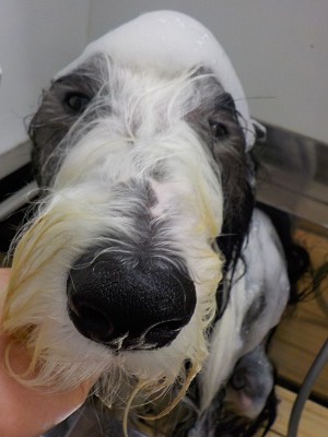 11-15%e3%81%bd%e3%81%8f-2