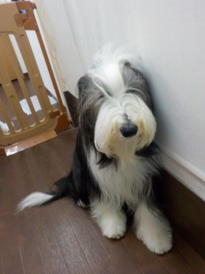 『もう一週間たったんだー。』