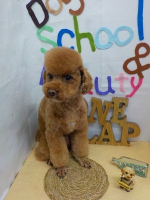 『いい感じだね☆』