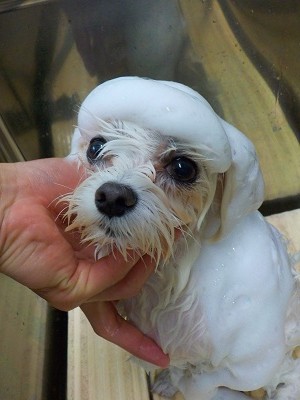 11-17%e3%81%93%e3%82%86-2