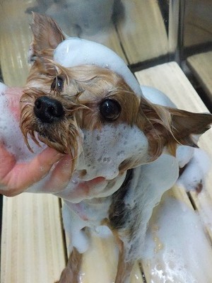 11-17%e3%81%a1%e3%81%87%e3%82%8a-2