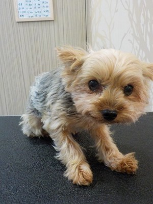 『今回は長めで！！』