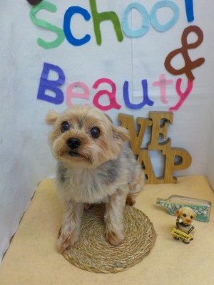 『サッパリしたー♪』