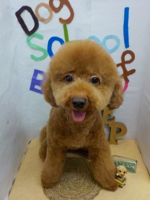 『フワッ不和だ―♪』