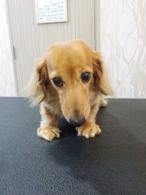 『今日もよろしく☆』