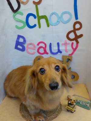 『サラサラになりました♪』