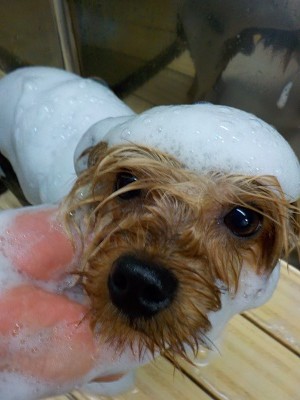 11-18%e3%81%9f%e3%82%8d-2