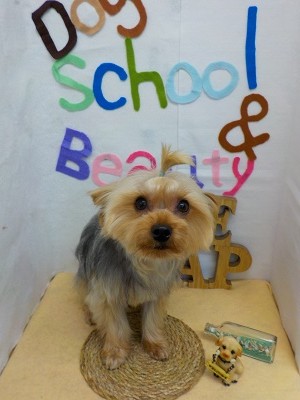 『どんどん伸ばすぞー！』