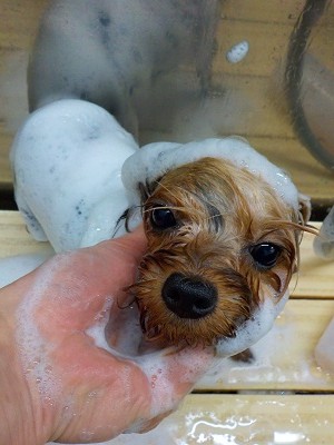 11-18%e3%81%af%e3%81%aa-2