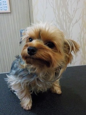 『あたしも伸ばすのー☆』