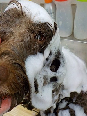 11-18%e3%82%8b%e3%83%bc%e3%81%97%e3%83%bc-2