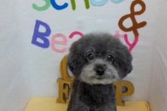 『ふわふわです♪』