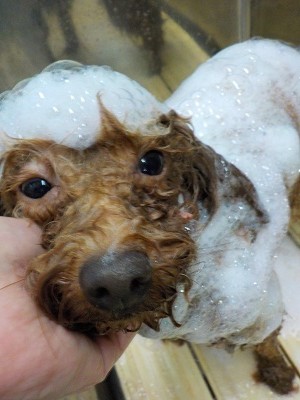 11-20%e3%81%93%e3%81%93%e3%81%82-2