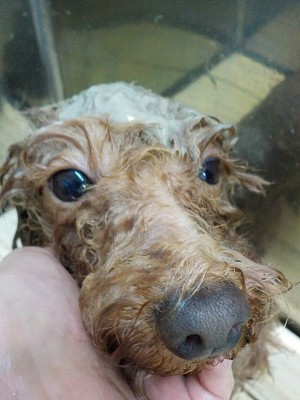 11-20%e3%81%93%e3%81%93%e3%81%82-3