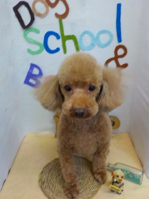 『あーサッパリした！！』