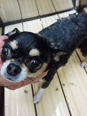 11-20%e3%81%9f%e3%82%80-2