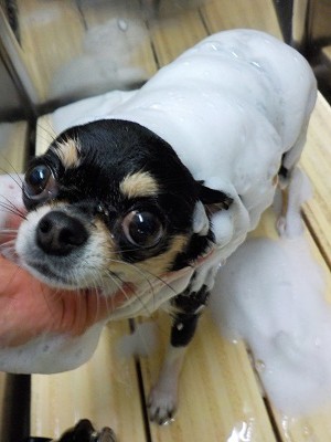 11-20%e3%81%9f%e3%82%80